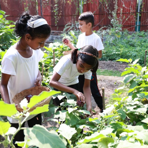 Gardening & Nature Walks