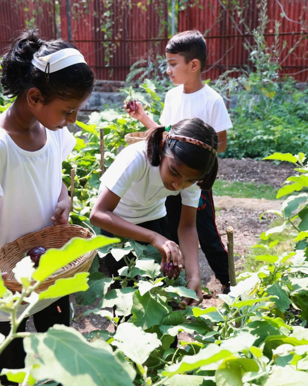 Naturalistic Learners