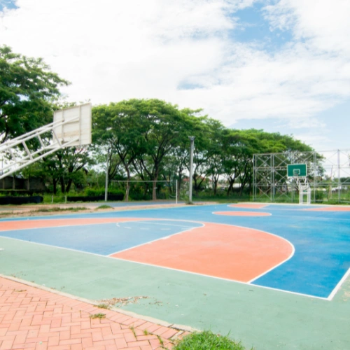 Basketball Court