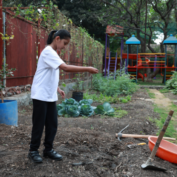 Agricultural Experience